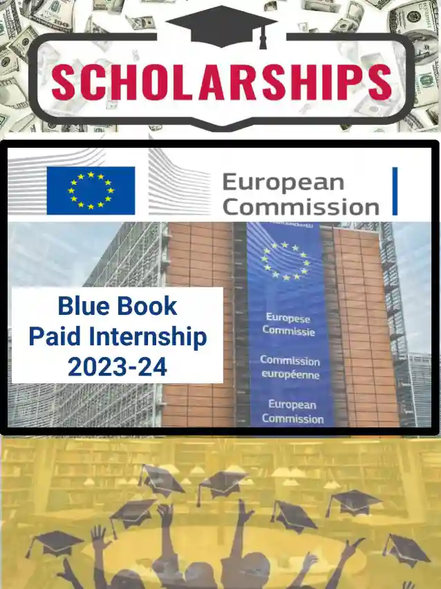 European Union Blue Book Traineeship 2024